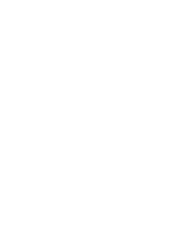 linea-6-1