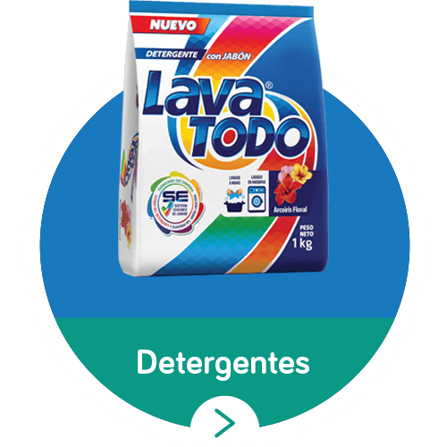 lavatodo-detergents